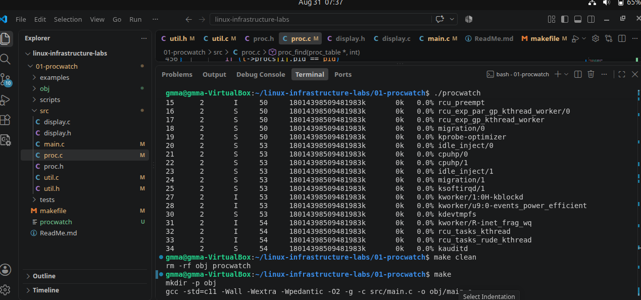 Terminal output from memmap showing virtual memory mappings, RSS, and PSS for a Linux process.